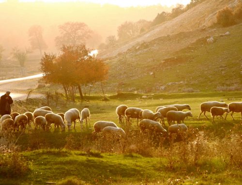 Walking Through the Valley